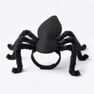Cat Crawler — Giant Spider Cat Costume