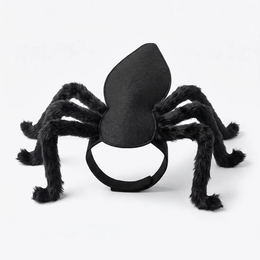 Cat Crawler — Giant Spider Cat Costume