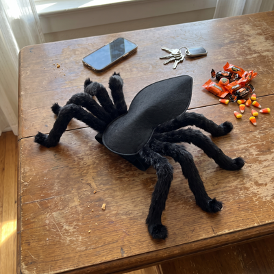 Cat Crawler — Giant Spider Cat Costume