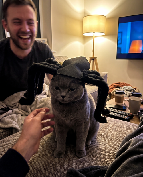 Cat Crawler — Giant Spider Cat Costume